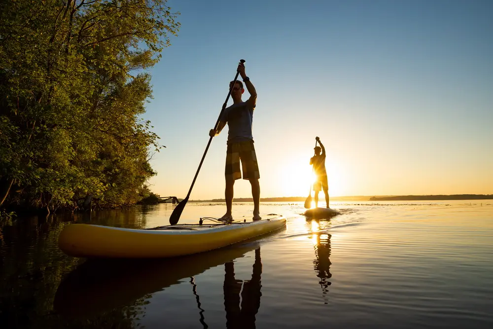 Stand-up paddleboarders on calm water at sunset